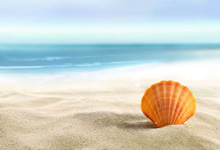 阿森纳门神出场次，打破英超纪录