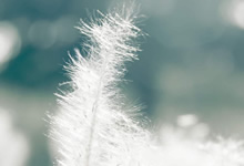 南欧前锋连续比赛上演帽子戏法个人状态火热