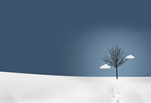 曼联遭遇主场惨败，切尔西客场取得宝贵三分